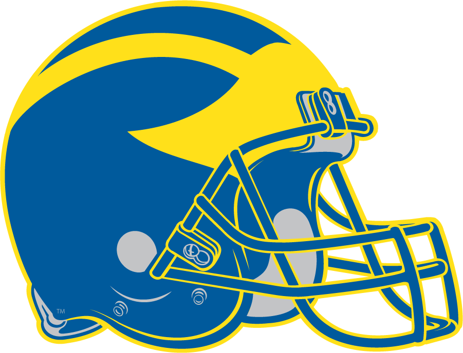 Delaware Blue Hens 1999-2008 Helmet Logo iron on transfers for T-shirts